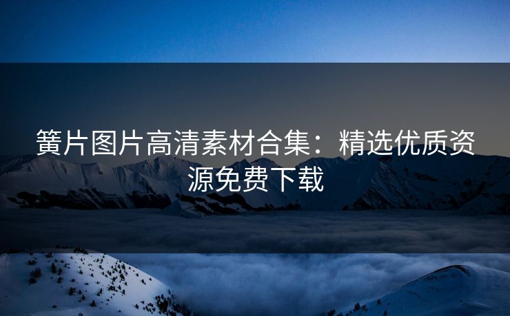 簧片图片高清素材合集：精选优质资源免费下载