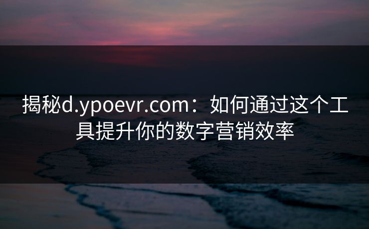 揭秘d.ypoevr.com：如何通过这个工具提升你的数字营销效率