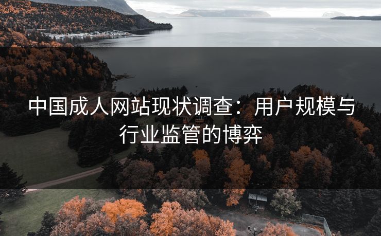 中国成人网站现状调查：用户规模与行业监管的博弈