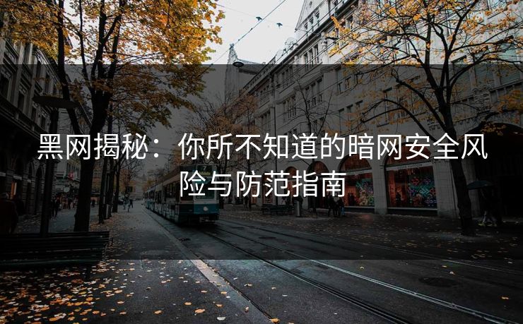 黑网揭秘：你所不知道的暗网安全风险与防范指南  第1张
